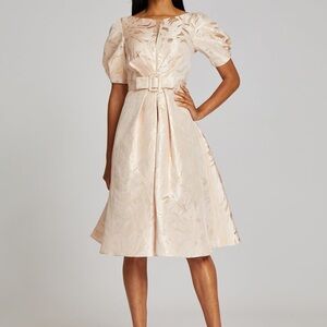 TERI JON Puff Sleeve Self Belt Metallic Jacquard Dress (size 10)